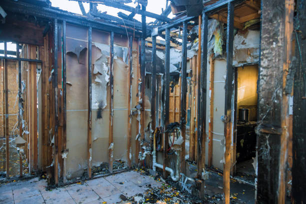 Professional Fire Damage Assessment technician working in Gray, TN